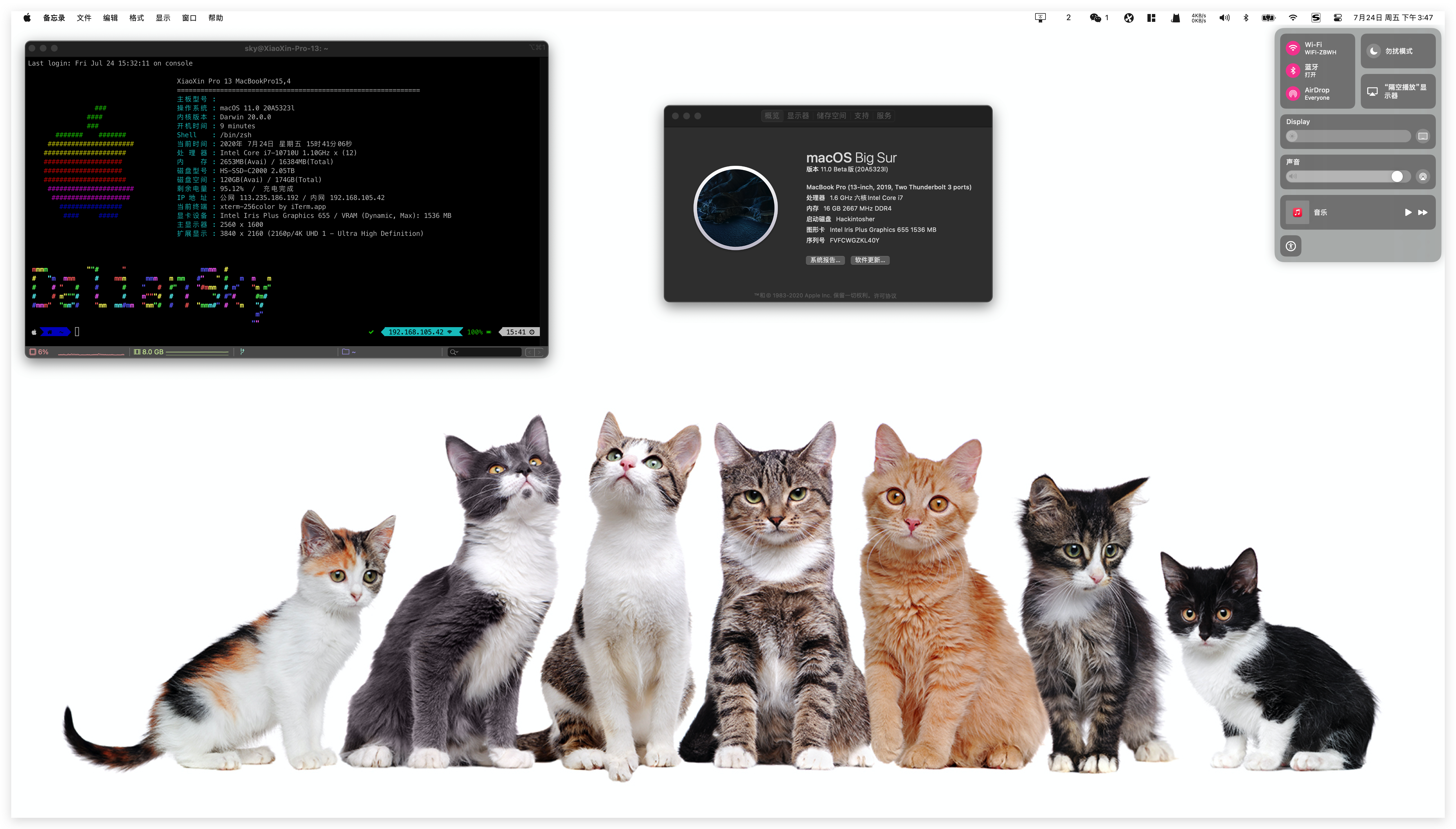 Xnip2020-07-24_15-48-02