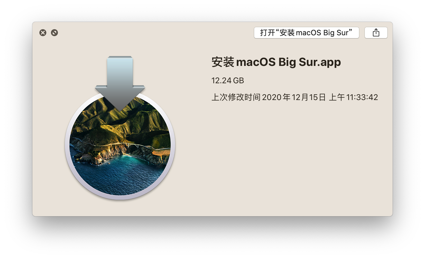 InstallMacOSBigSurBeta