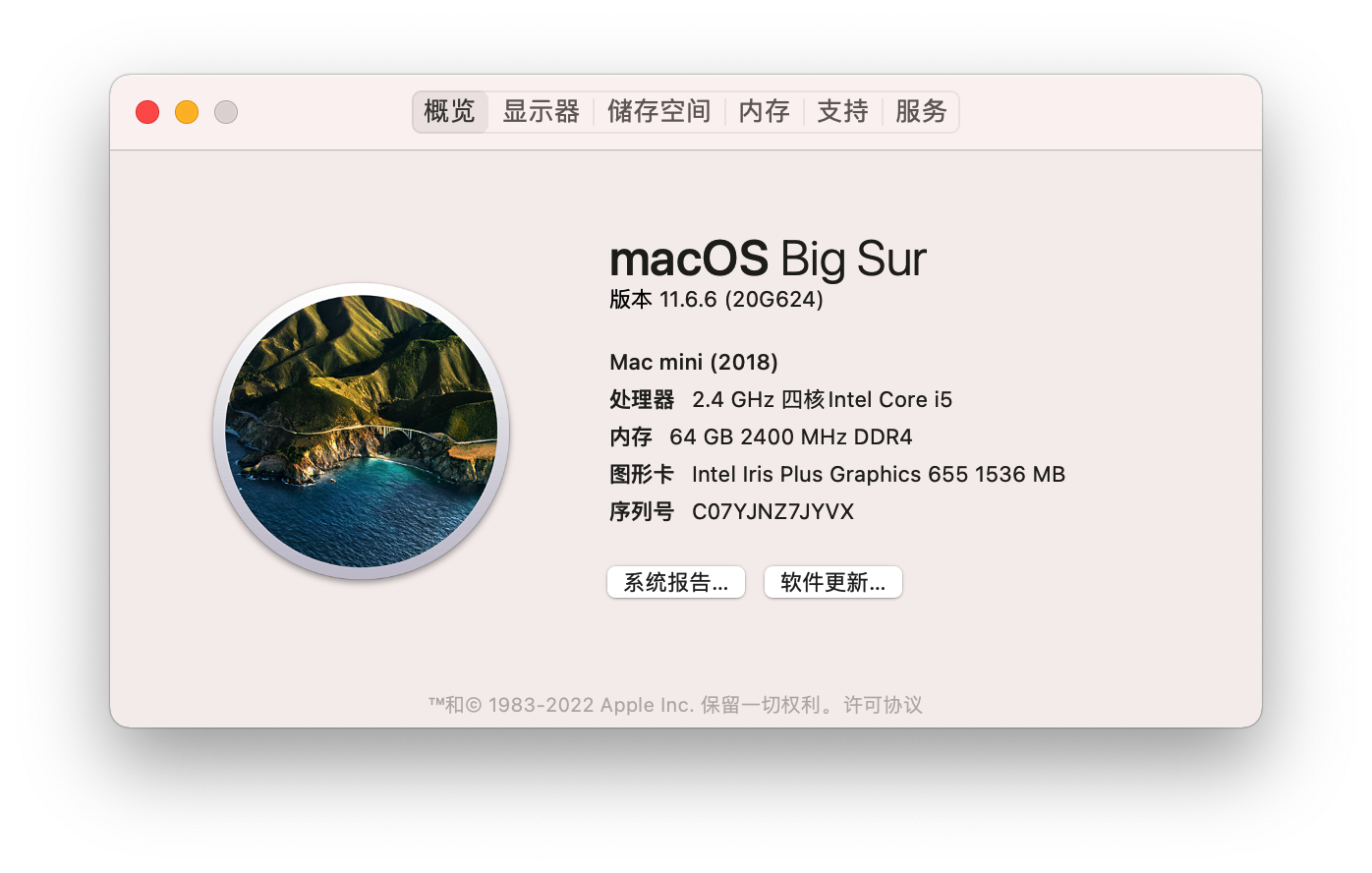 InstallMacOSBigSurBeta