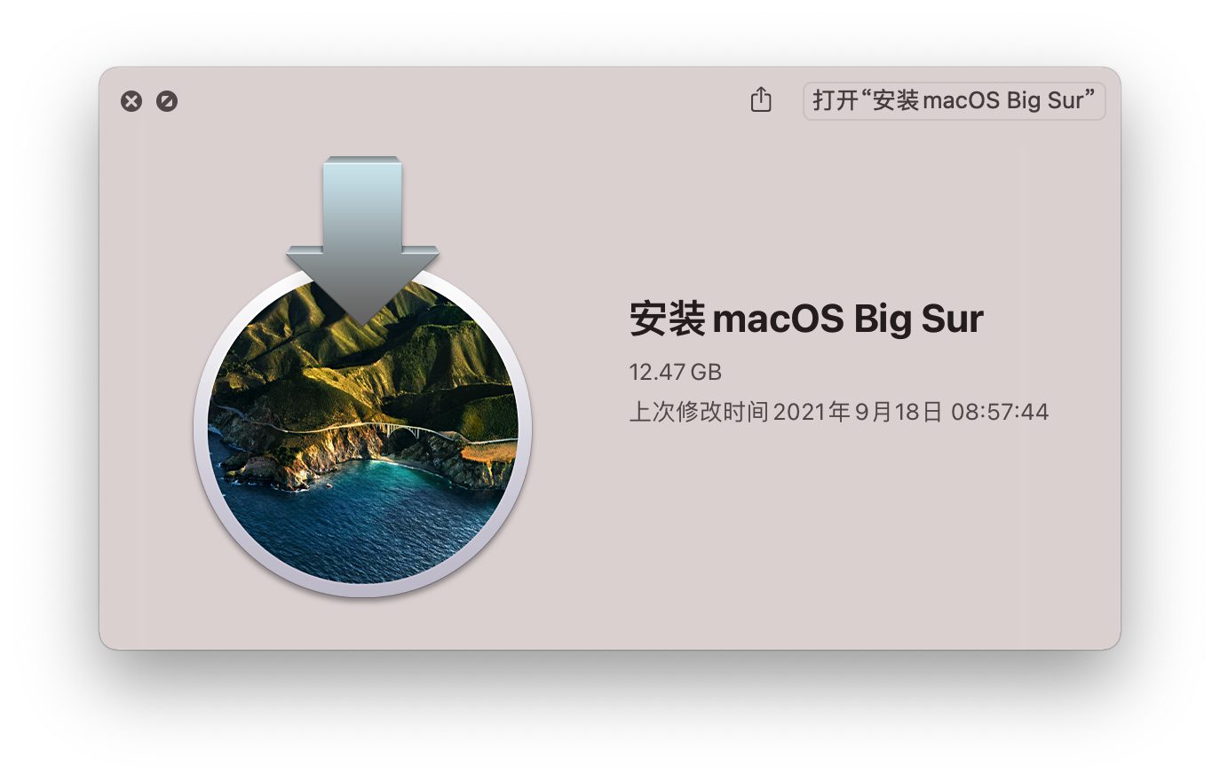 InstallMacOSBigSurBeta