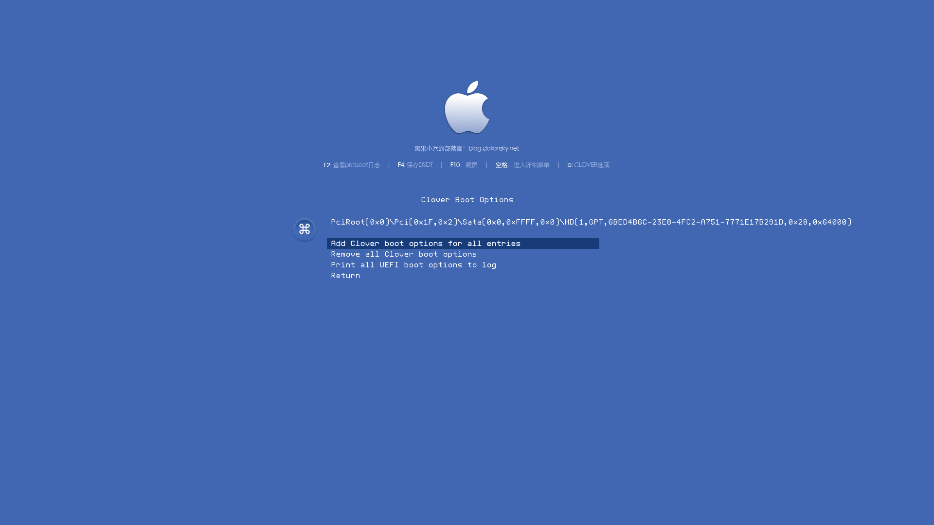 Add Clover Boot Options